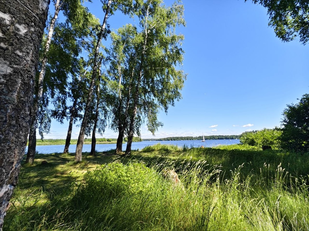 177.jpg 177.jpg