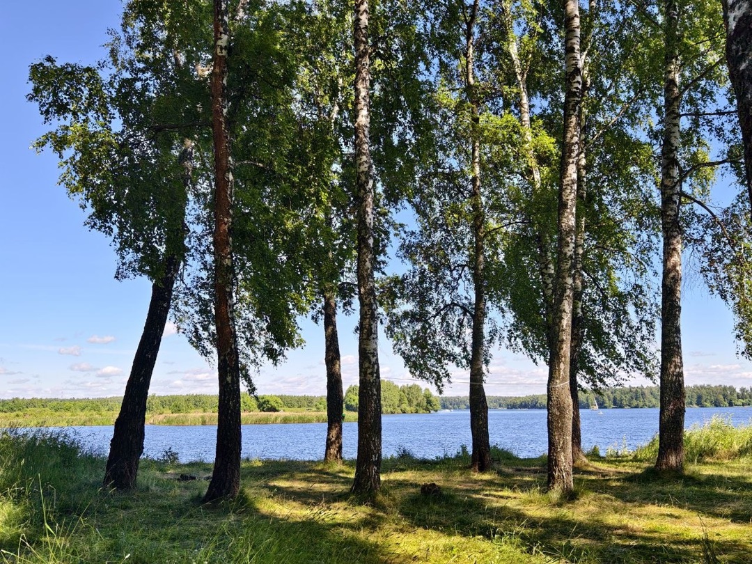 160.jpg 160.jpg