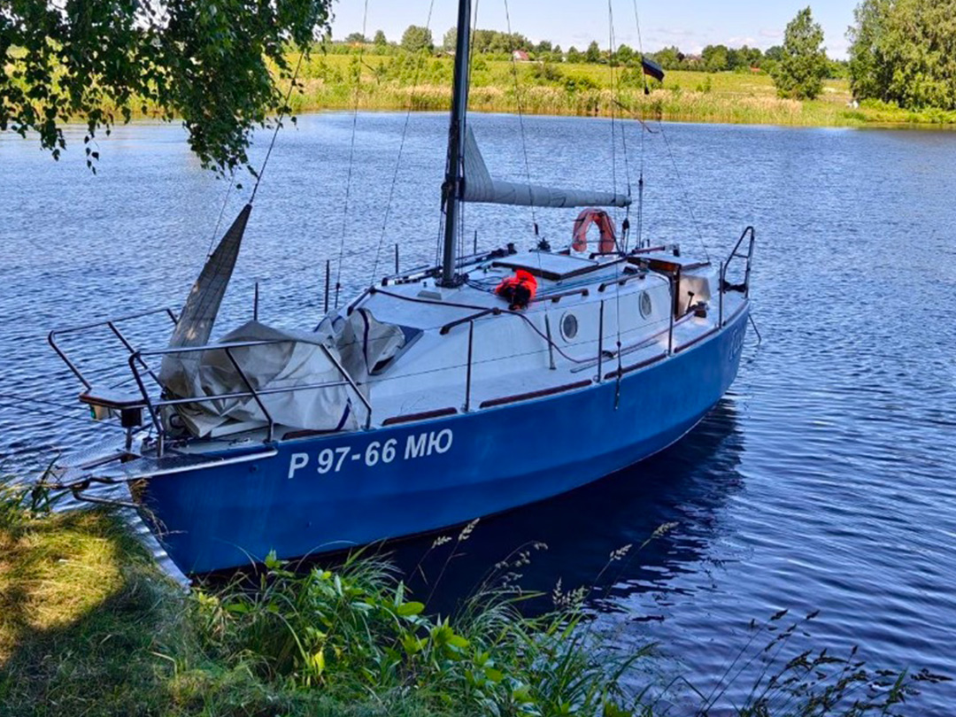 335.jpg 335.jpg