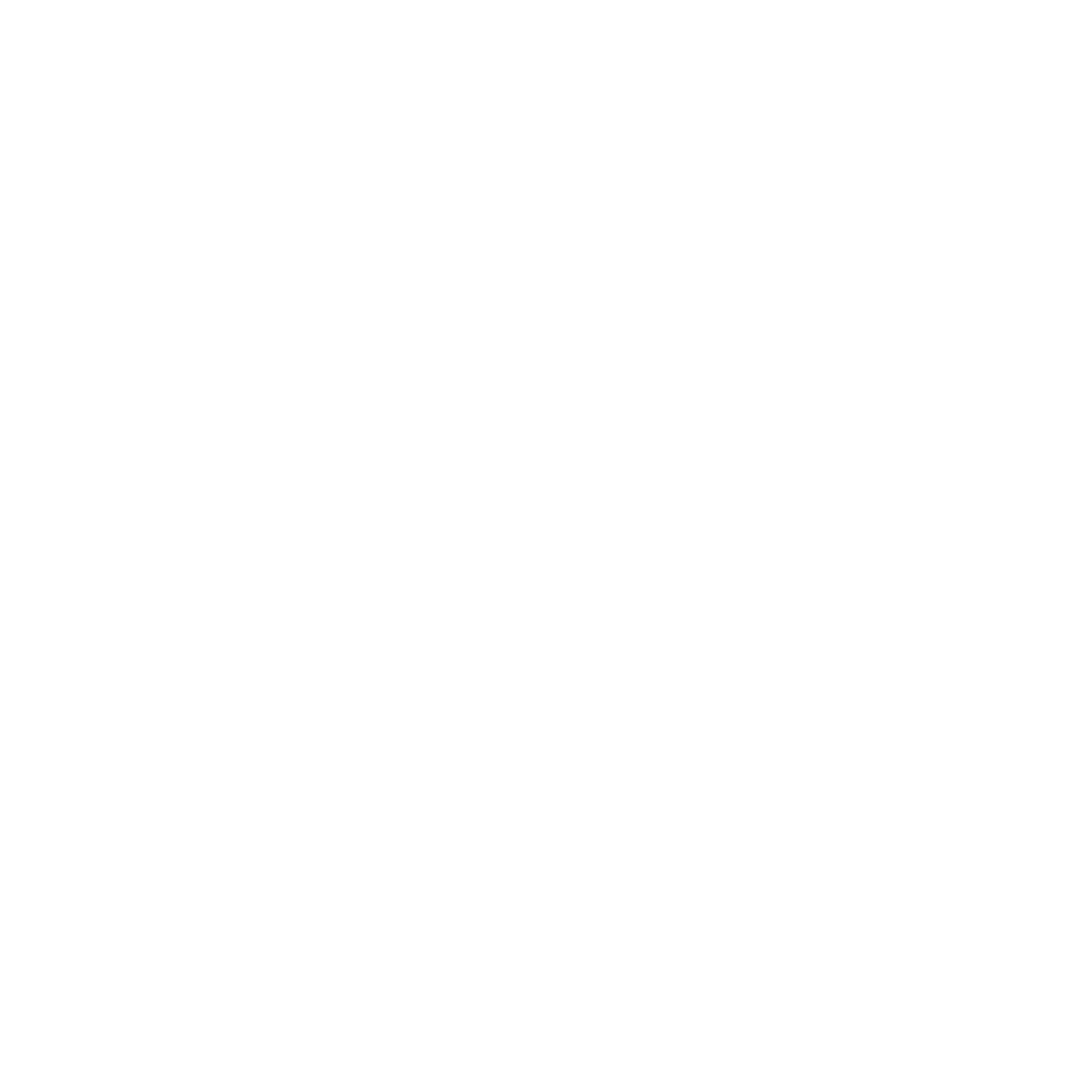 Разовое занятие